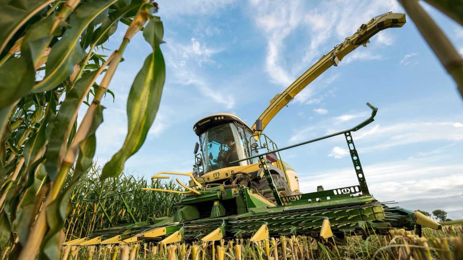 Colhedora de silagem Krone em campo, no ecossistema Doctor Silage e Bouwman