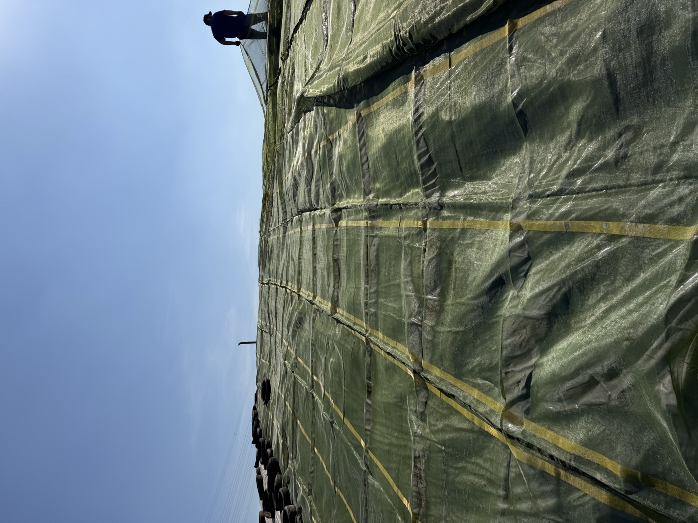 Tela Doctor Silage Net cobrindo a rampa de um silo
