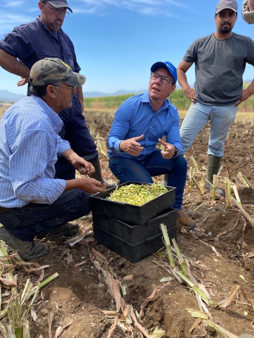 Rafael Amaral demonstrando o Penn State a produtores em campo